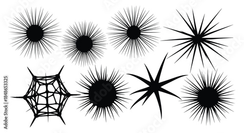 Spiky starburst shapes and abstract sea urchin graphic design elements