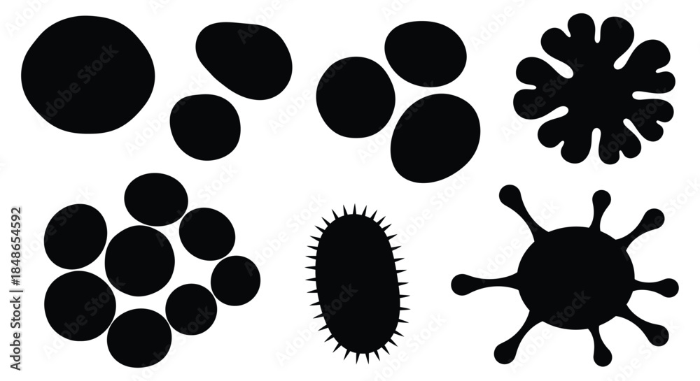 Fototapeta premium Cell and bacteria silhouettes on white background