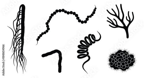 Microscopic bacteria and germs in various shapes and forms