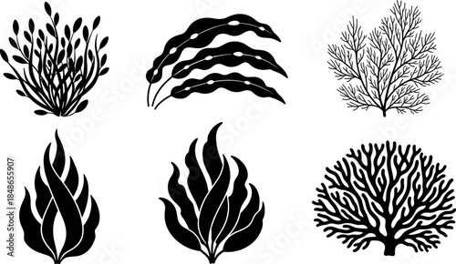 Set of six diverse black and white vector silhouettes depicting various stylized seaweed, aquatic plants, or unique brush and foliage elements for decorative organic design