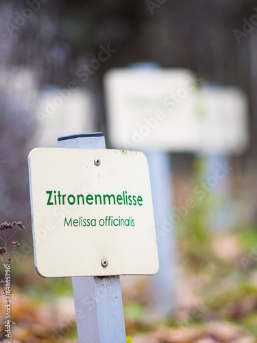 boards at a herb garden
