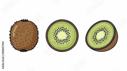 Whole and sliced kiwi fruit illustration isolated on white background.