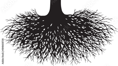 Intricate silhouette of a tree trunk base with a dense network of spreading roots on a white background symbolizing growth and connection also transparent background