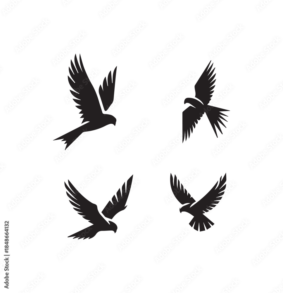 Obraz premium Falcon Diving Silhouette