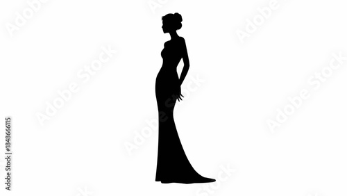 Elegant Silhouette of a Woman in a Formal Gown.