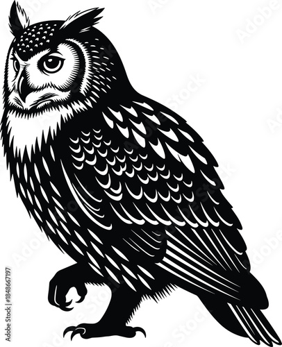 Hand drawn owl vector illustration, black and white bird of prey woodcut style, nocturnal animal forest wildlife mascot logo design,