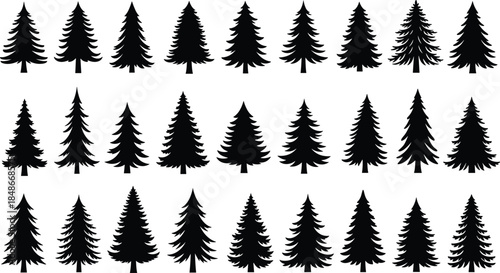 Set of pine tree silhouettes vector illustration, various coniferous evergreen fir forest trees for nature landscape design, Christmas winter decorative elements