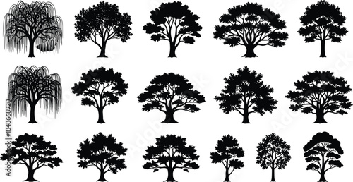 Set of various deciduous tree silhouettes vector illustration, oak willow and maple garden trees for nature landscape design, isolated elements