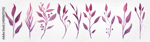 Pink watercolor foliage with botanical leaf elements and branch greenery. Spring plant illustration collection of delicate garden leaves, stems and vintage floral herbarium style for wedding decor.