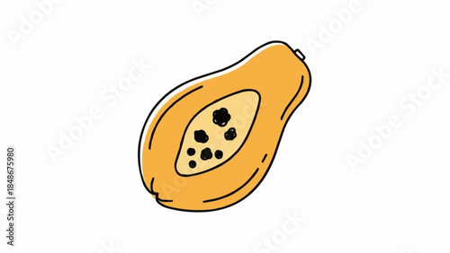 Hand drawn illustration of a ripe papaya fruit cut in half.