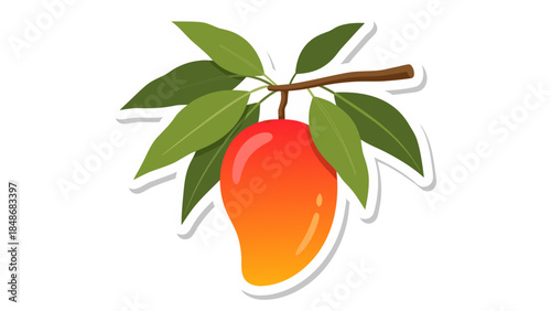 vector illustration of a tomato plant