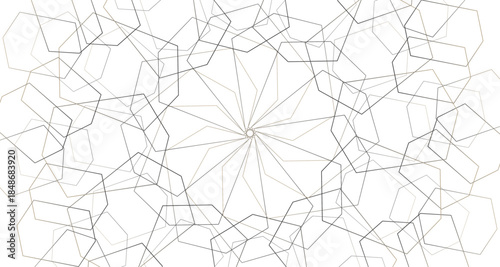 seamless pattern with spider web