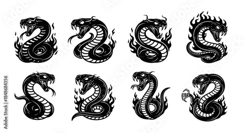 Collection of Black Dragon Illustrations.