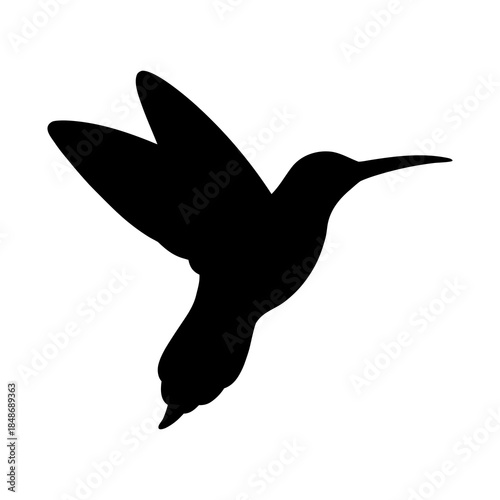 Silhouette of a seagull