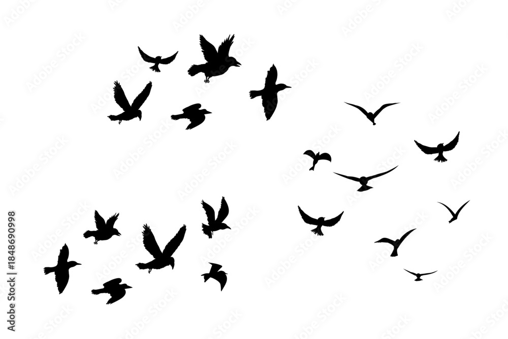 Obraz premium Flying flock of birds silhouette, Simple swallows in flight, crows in the sky. Group of birds border.