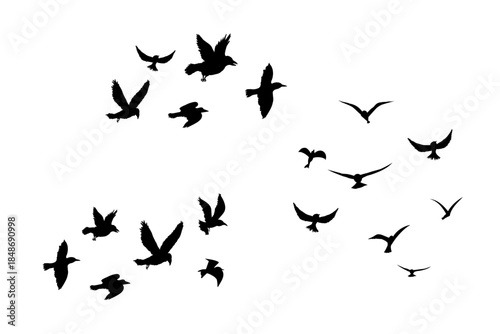 Flying flock of birds silhouette, Simple swallows in flight, crows in the sky. Group of birds border.