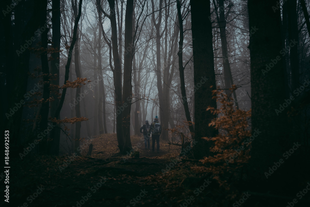 Fototapeta premium Forest trail leading to Borowa Peak in southern Poland