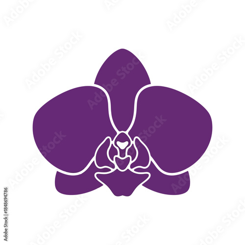 Elegant Purple Orchid Flower Vector Design for Floral Illustrations and Nature Themes
