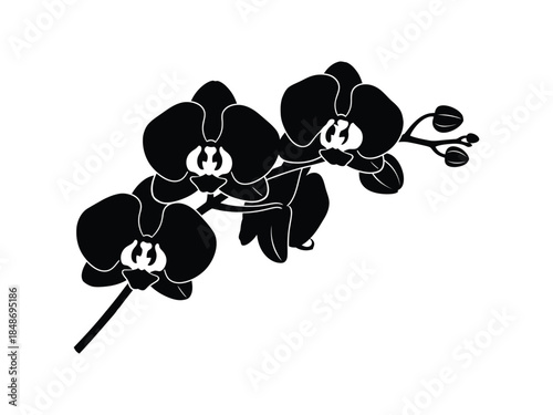 Black orchid flower silhouette, simple and elegant botanical art