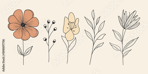 Hand drawn minimalistic floral bouquet with five flowers and leaves line art in soft pastel colors on light background vector illustration for spring design