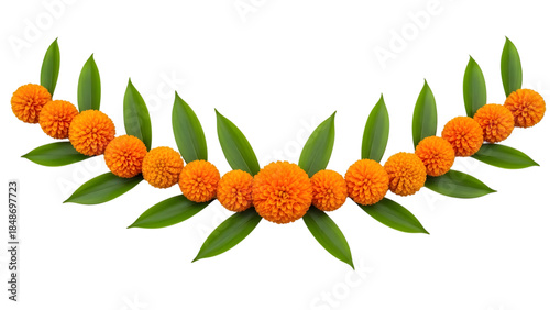 Orange marigold flowers and green leaves garland isolated on a transparent background