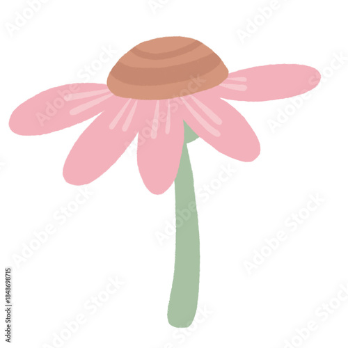 Hand-Drawn Pink Flower Illustration, Cute Floral PNG