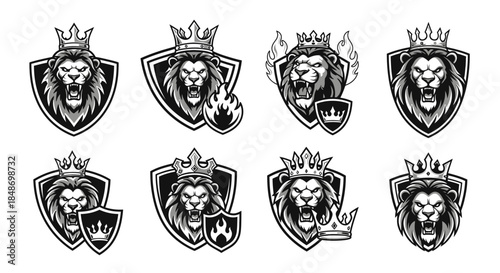 Lion Head Crest Emblems in Shields.