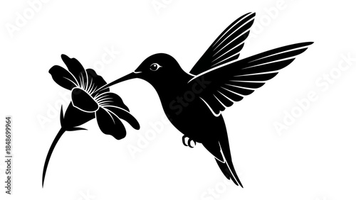 Elegant Black and White Hummingbird with Floral Interaction in Minimalist Style
