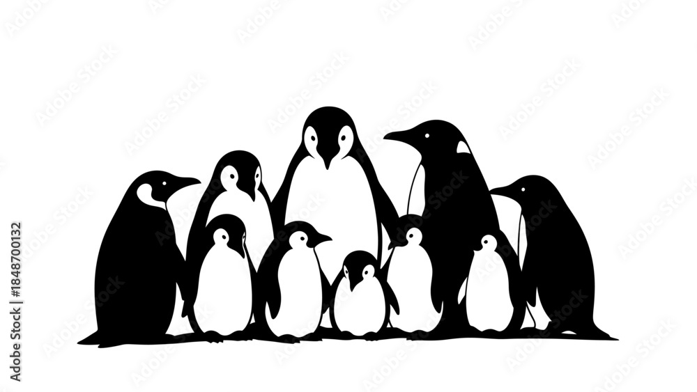 Fototapeta premium Stylized black and white illustration of a diverse group of penguins in a minimalistic art style