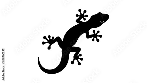 Minimalistic Black Silhouette of a Lizard with Outstretched Legs and Tail on White Background