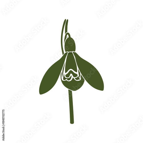 Elegant Green Snowdrop Flower Vector Illustration for Nature and Botanical Designs