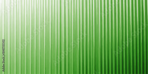 A joyful young woman with curly hair laughing outdoors while holding a digital camera during a sunset photo walk in a lush green park