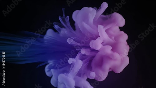 Abstract Purple Blue Cloud Ink In Water Slow Motion Extreme Close Up With Dark Black Background