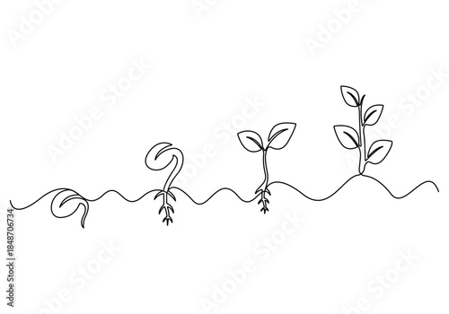 Continuous one line drawing art of step of tree growth plants