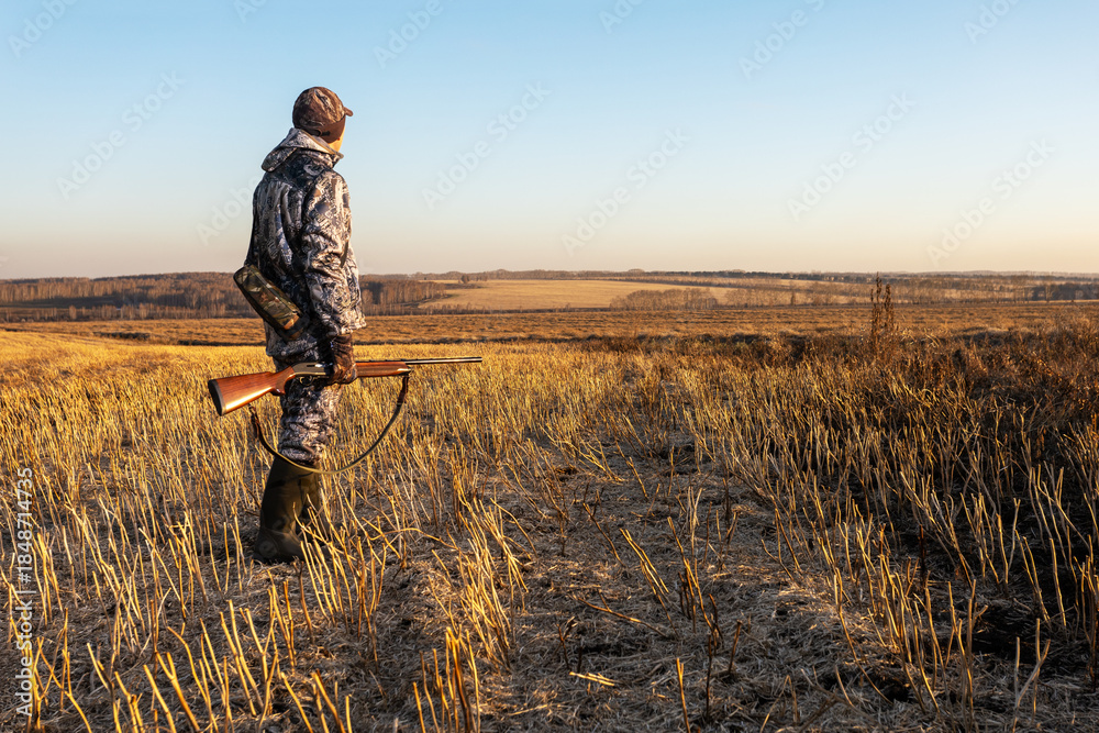 Obraz premium hunter man holding a shotgun and walking through a field at sunrise or sunset. hunting season. place for text.