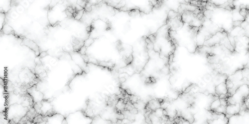 abstract interior beautiful black and white Carrara slab interior tiles gradient luxury ceramic wall and floor kitchen texture background