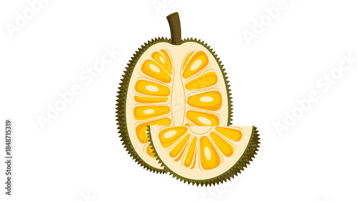 Durian Fruit Sliced Open Showing Segments.