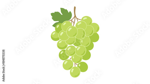 Fresh Green Grapes with Leaves.