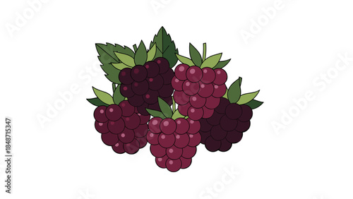 Fresh Ripe Blackberries with Green Leaves.
