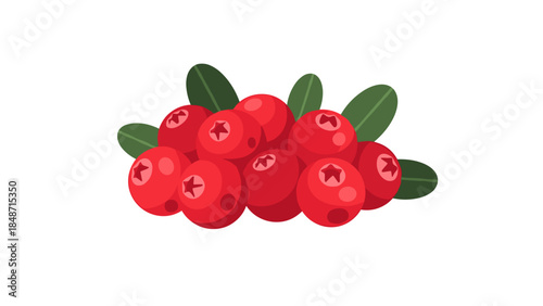Fresh Red Cranberries with Green Leaves.