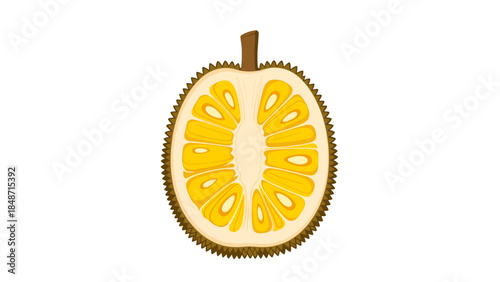 Half Cut Orange Fruit with Stem.