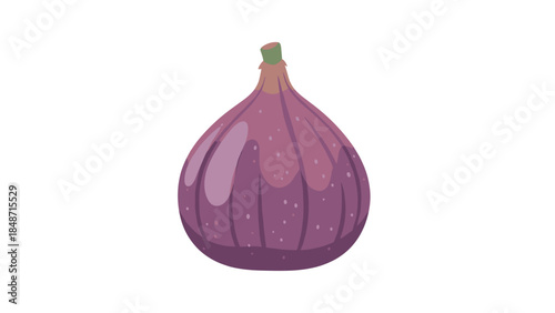 Purple Onion Vegetable Illustration Isolated White.