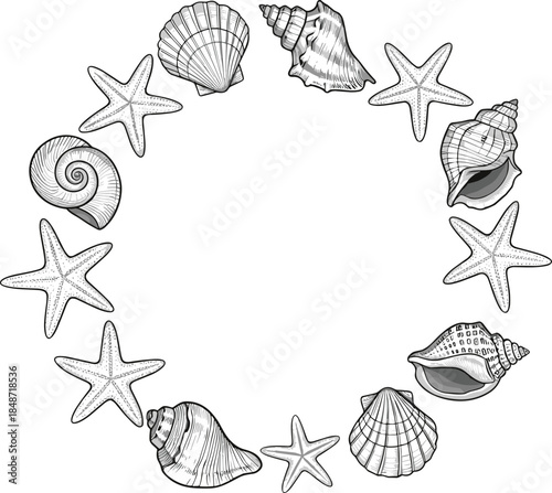 Cartoon starfish and seashells in circle, marine theme, beach decor, ocean elements, symmetrical design, flat vector illustration