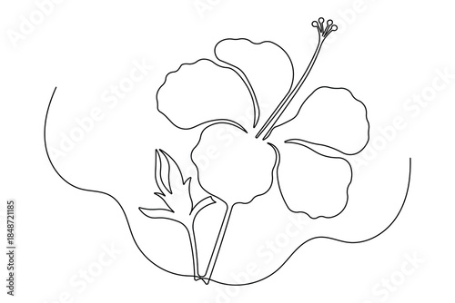 Exotic floral continuous outline drawing simple style nature element