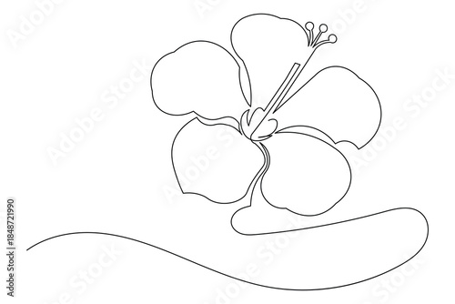 Simple outline illustration of a blooming flower continuous single line