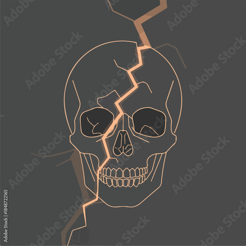 Cracked Skull A Symbol of Mortality and Fragility.