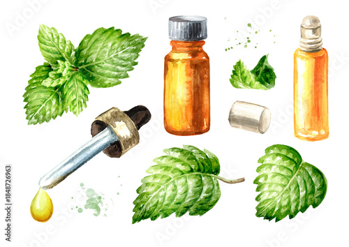 Tableau sur toile Fresh mint or spearmint leaves and essential oil set