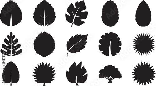 Collection of fifteen black leaf and tree silhouettes