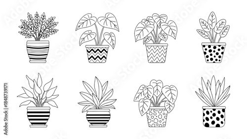 Black and white line art collection featuring eight different potted houseplants