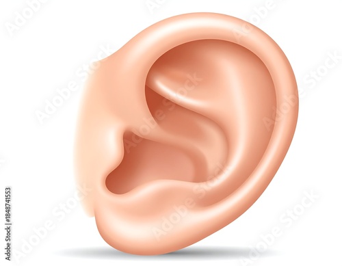 Digitally rendered human ear, realistic depiction, white background